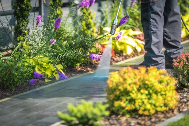 Best Patio and Deck Pressure Washing  in Highland Park, IL